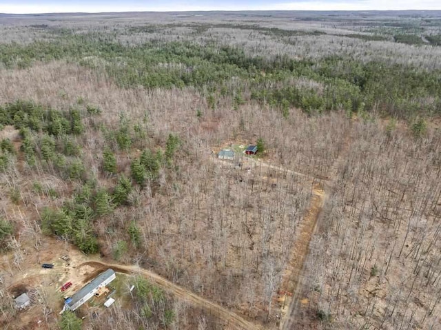 3622 Big Sky Trl, Gaylord, MI 49735 - aerial view of property and surrounding area with a forest