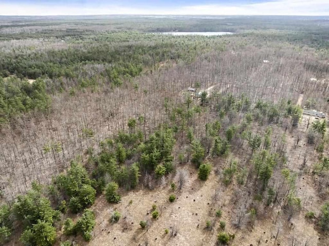 3622 Big Sky Trl, Gaylord, MI 49735 - aerial overview of property's location featuring a forest