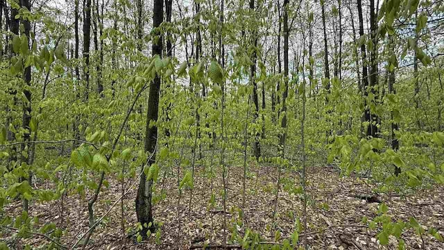 LOT465 Dellwood Dr, Elmira, MI 49730