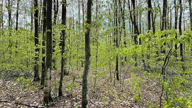 LOT465 Dellwood Dr, Elmira, MI 49730