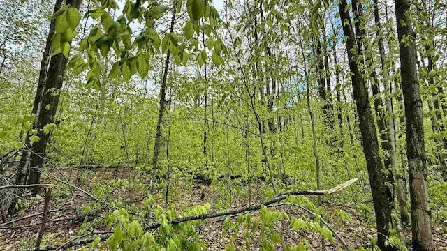 LOT465 Dellwood Dr, Elmira, MI 49730