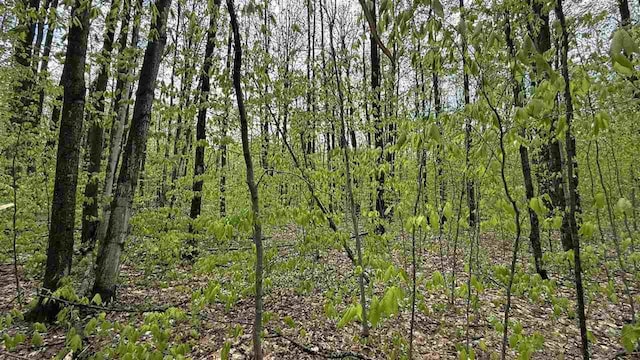 LOT465 Dellwood Dr, Elmira, MI 49730