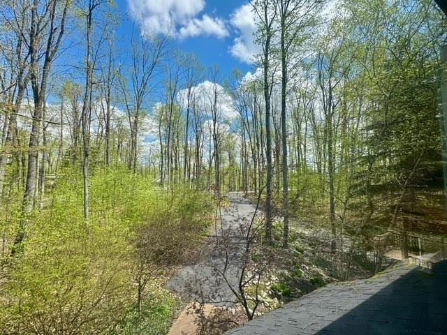 3237 Greenbriar, Harbor Springs, MI 49740 - view of nature
