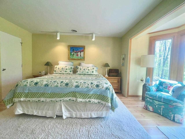 3237 Greenbriar, Harbor Springs, MI 49740 - bedroom with track lighting and wood finished floors