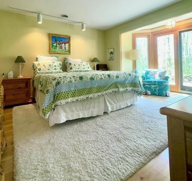 3237 Greenbriar, Harbor Springs, MI 49740 - bedroom featuring track lighting, access to exterior, and wood finished floors