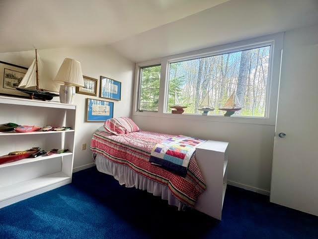 3237 Greenbriar, Harbor Springs, MI 49740 - bedroom with multiple windows, vaulted ceiling, carpet, and baseboards