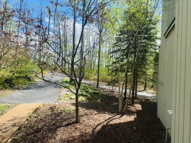 3237 Greenbriar, Harbor Springs, MI 49740 - view of street