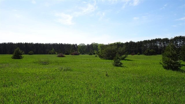TBD Priest Rd, Mancelona, MI 49659