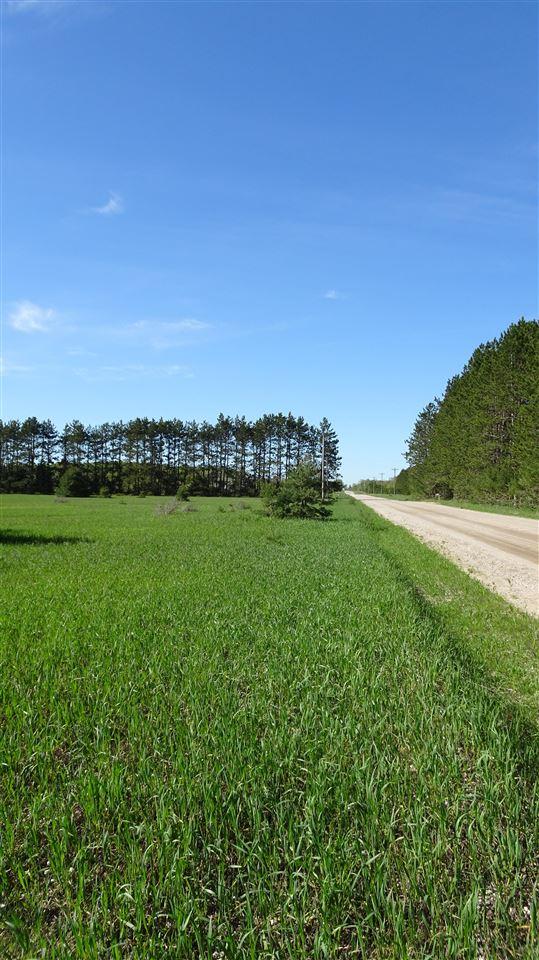 TBD Priest Rd, Mancelona, MI 49659
