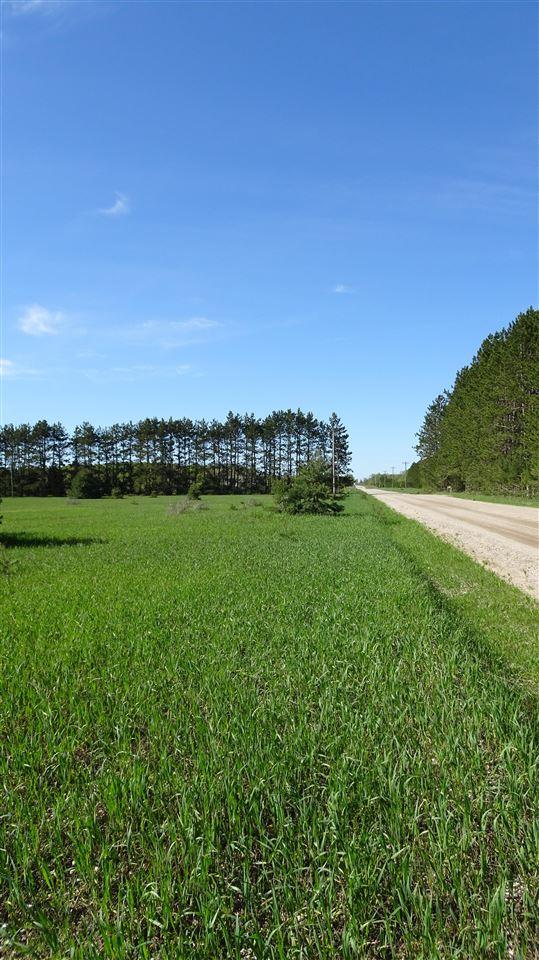 TBD Priest Rd, Mancelona, MI 49659