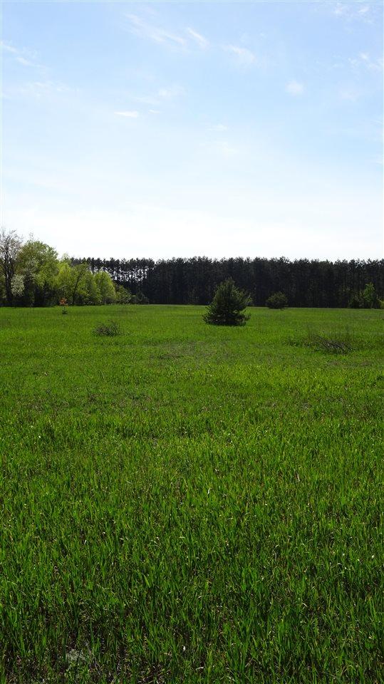 TBD Priest Rd, Mancelona, MI 49659