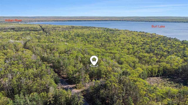 1766 Chippewa Bch, Indian River, MI 49749 - drone / aerial view of a heavily wooded area and a nearby body of water