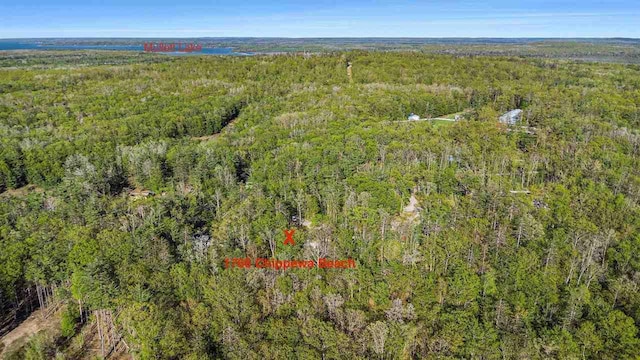 1766 Chippewa Bch, Indian River, MI 49749 - bird's eye view of a forest
