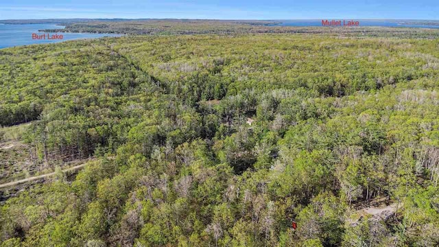 1766 Chippewa Bch, Indian River, MI 49749 - aerial view of a forest