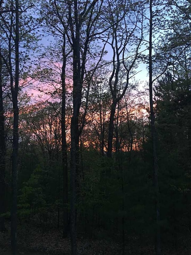 1766 Chippewa Bch, Indian River, MI 49749 - view of tree filled area