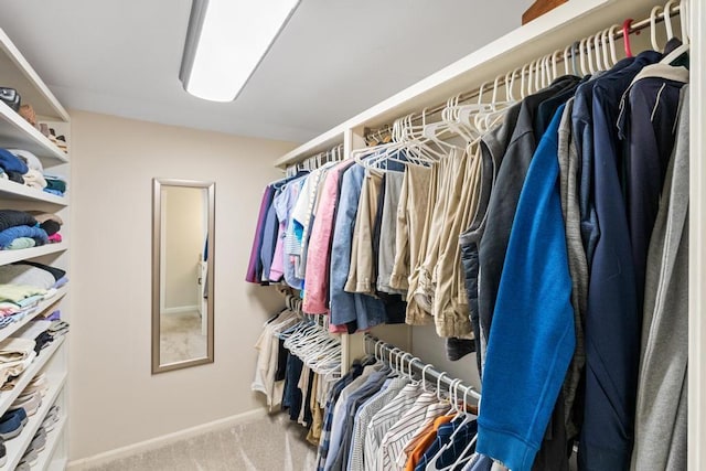2018 Greenbriar Ter, Harbor Springs, MI 49740 - walk in closet with carpet