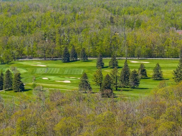 2018 Greenbriar Ter, Harbor Springs, MI 49740 - view of community featuring golf course view and a forest view