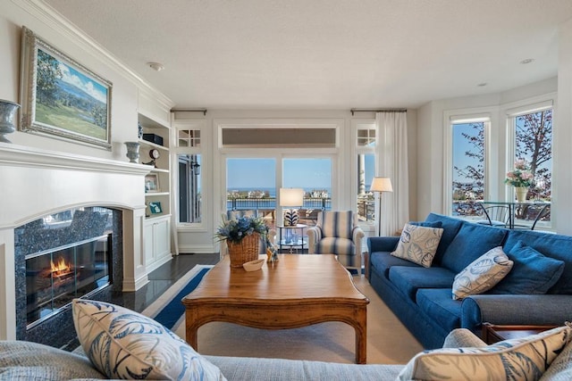 4064 Harborview Rdg Unit 17, Bay Harbor, MI 49770 - living room featuring a high end fireplace and built in shelves