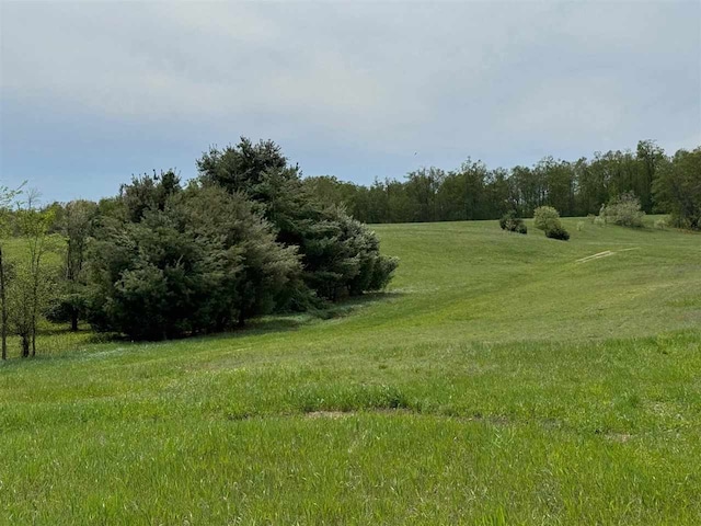 TBD Nichols Rd, Pellston, MI 49769