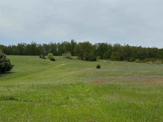 TBD Nichols Rd, Pellston, MI 49769