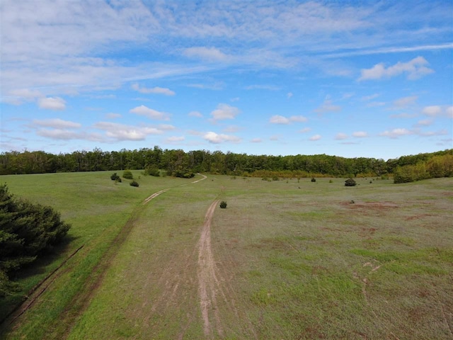 TBD Nichols Rd, Pellston, MI 49769