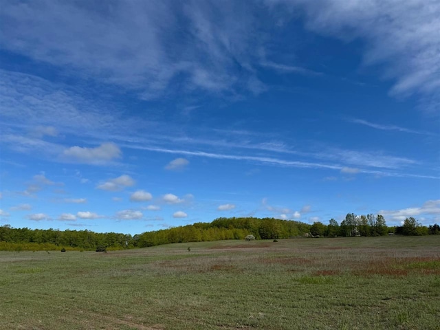 TBD Nichols Rd, Pellston, MI 49769