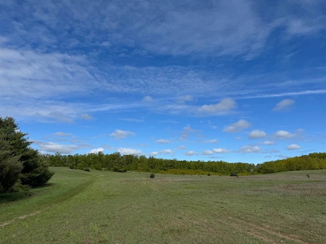 TBD Nichols Rd, Pellston, MI 49769