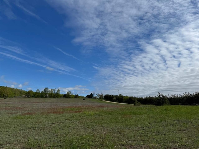 TBD Nichols Rd, Pellston, MI 49769