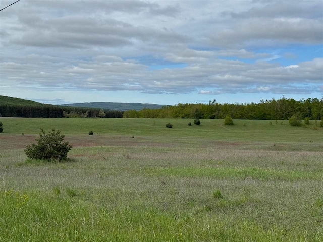 TBD Nichols Rd, Pellston, MI 49769
