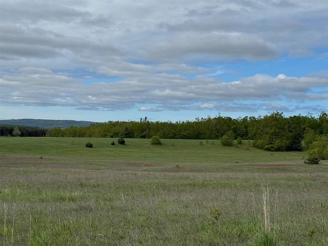 TBD Nichols Rd, Pellston, MI 49769