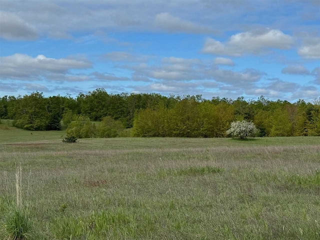 TBD Nichols Rd, Pellston, MI 49769