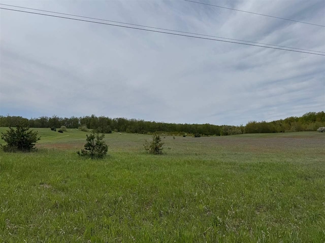TBD Nichols Rd, Pellston, MI 49769