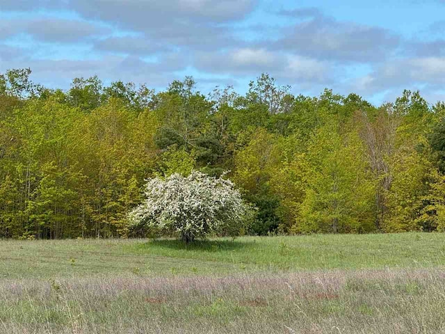 TBD Nichols Rd, Pellston, MI 49769
