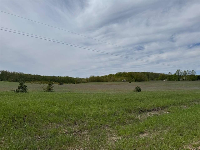 TBD Nichols Rd, Pellston, MI 49769