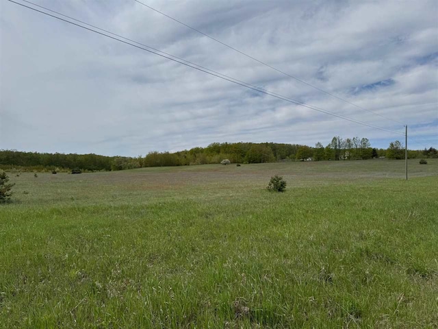 TBD Nichols Rd, Pellston, MI 49769