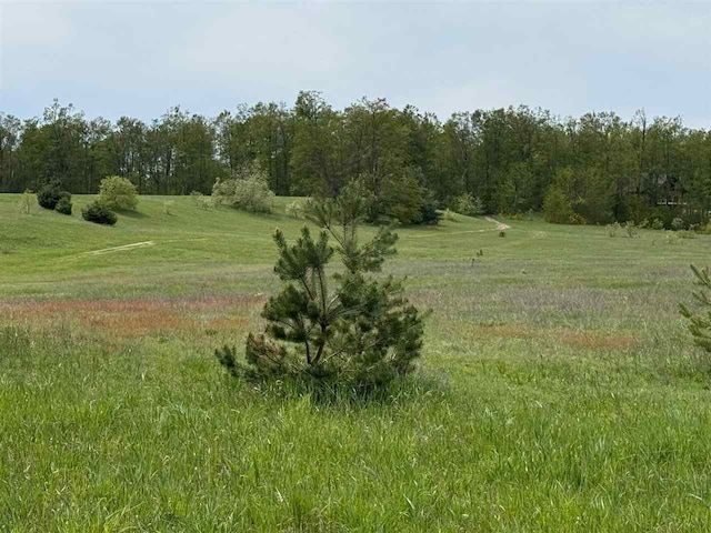 TBD Nichols Rd, Pellston, MI 49769