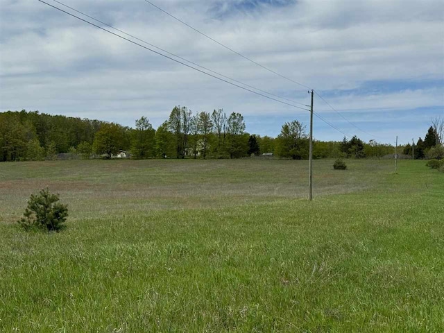 TBD Nichols Rd, Pellston, MI 49769