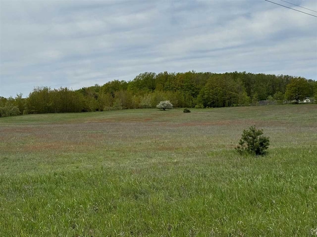 TBD Nichols Rd, Pellston, MI 49769