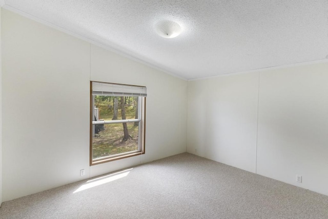7245-83 Upper Kelsey Dr, Charlevoix, MI 49720 - spare room with carpet floors, a textured ceiling, and lofted ceiling
