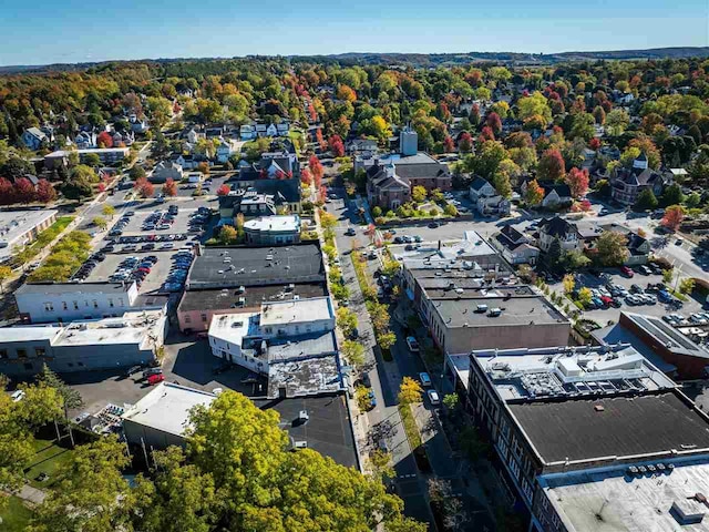 422 E Mitchell Unit 1, Petoskey, MI 49770 - aerial view