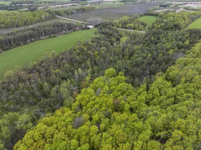 15210 Ferry Rd, Charlevoix, MI 49720