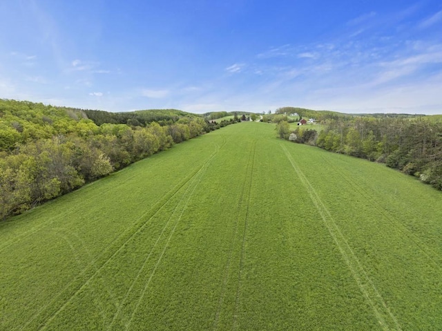 15210 Ferry Rd, Charlevoix, MI 49720