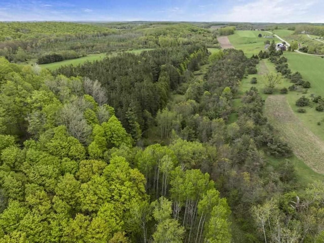 15210 Ferry Rd, Charlevoix, MI 49720