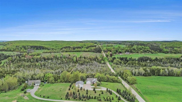 9030 Sugar Tree Ln, Charlevoix, MI 49720 - aerial view of property and surrounding area featuring a forest