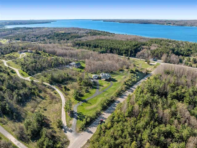 8530 Dustin Ln, East Jordan, MI 49727 - aerial overview of property's location featuring a large body of water and a forest