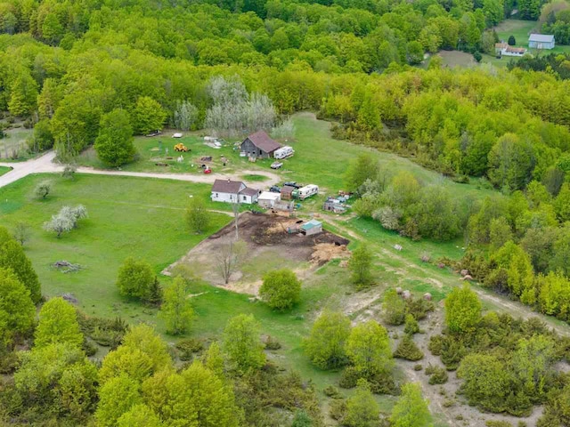 5650 Bergmann Rd, East Jordan, MI 49727