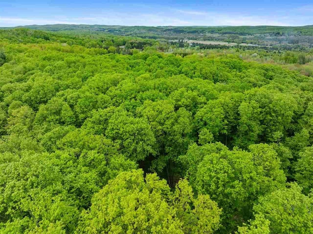 5650 Bergmann Rd, East Jordan, MI 49727
