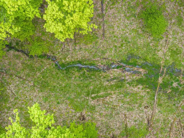 5650 Bergmann Rd, East Jordan, MI 49727