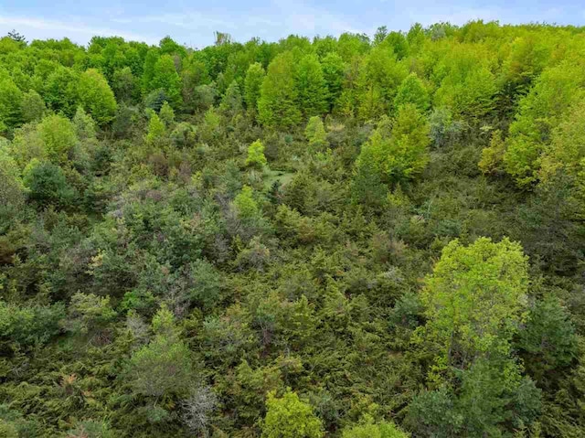 5650 Bergmann Rd, East Jordan, MI 49727