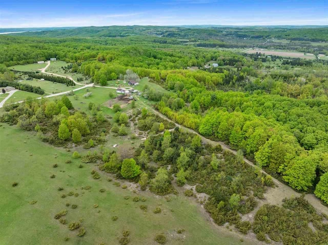 5650 Bergmann Rd, East Jordan, MI 49727